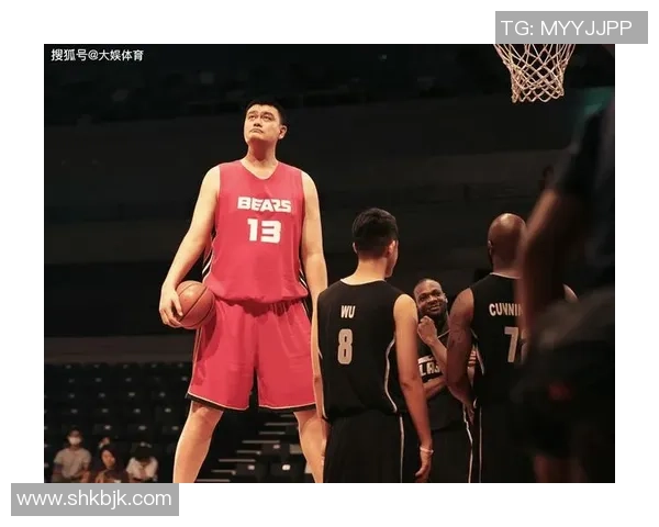 火箭队传奇姚明与布鲁斯的辉煌岁月与篮球梦想之旅